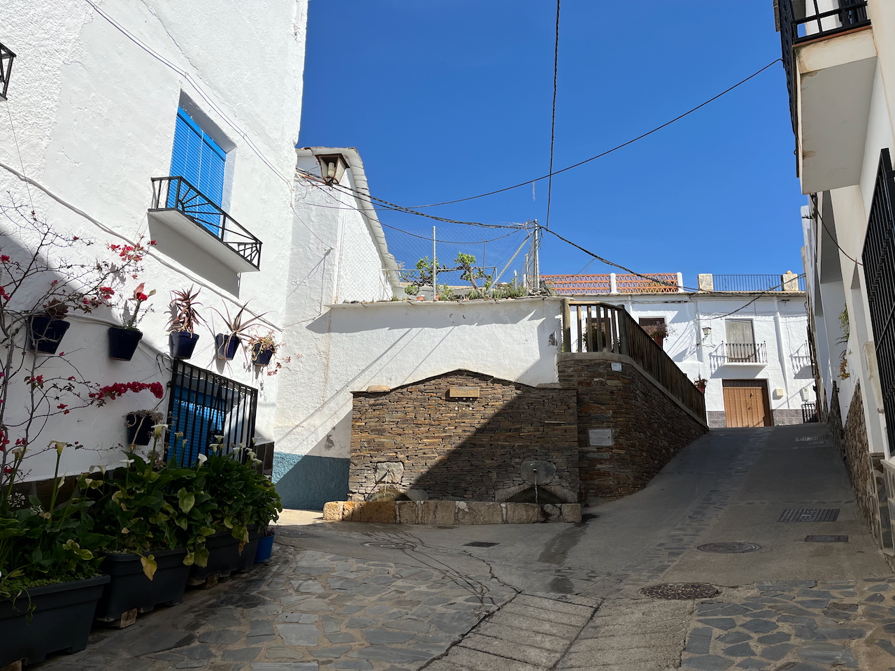 Fuente-Alta-Mairena - 1