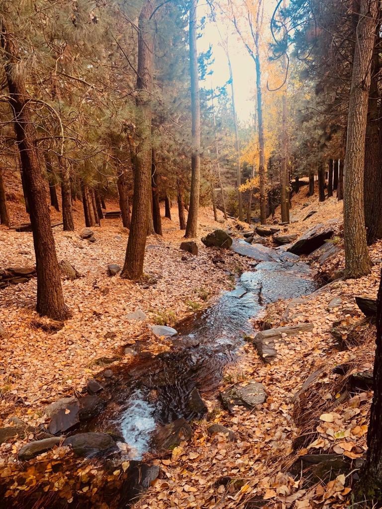Acequia en Nevada
